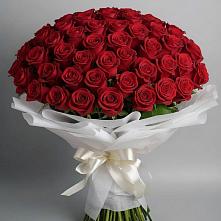 Букет 101 Красная роза Блэк Мэджик в Гребнево