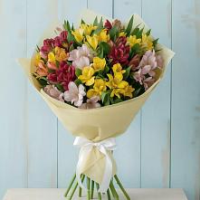 Букет цветов из:  Альстромерии в Гребнево
