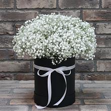 Цветочная композиция из Гипсофила в шляпной коробке в Гребнево