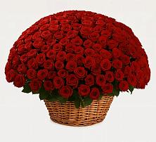 Премиум букет из: Розы в Гребнево